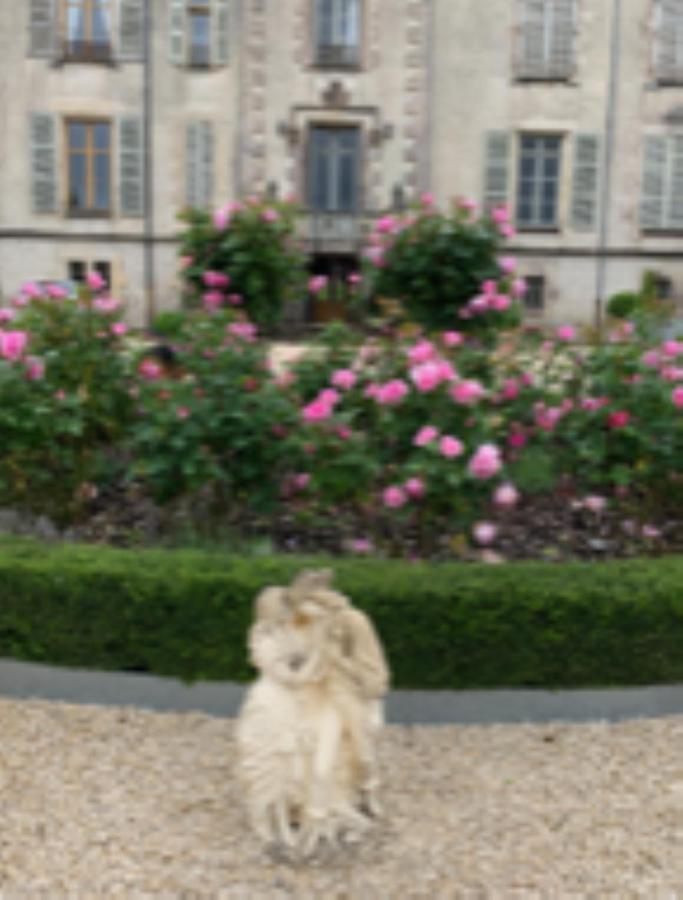 Chateau Pont Jarno B&B Champdeniers 外观 照片