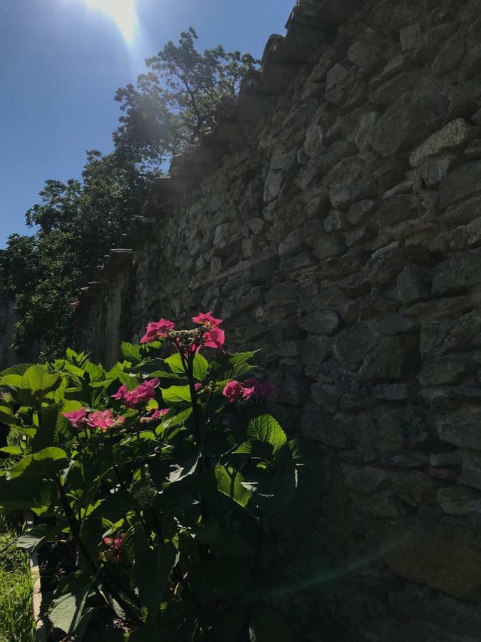 Chateau Pont Jarno B&B Champdeniers 外观 照片