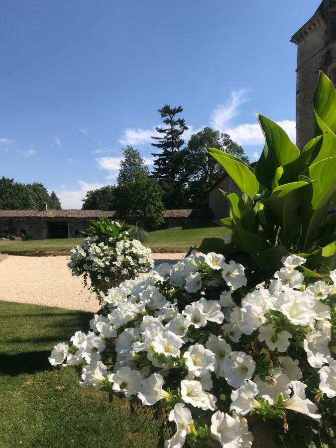 Chateau Pont Jarno B&B Champdeniers 外观 照片