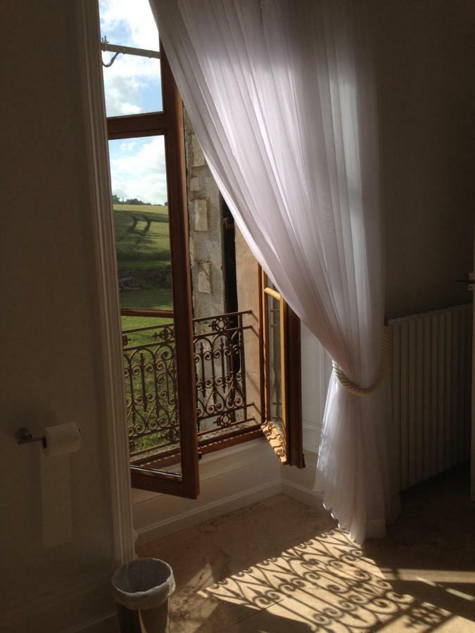 Chateau Pont Jarno B&B Champdeniers 外观 照片